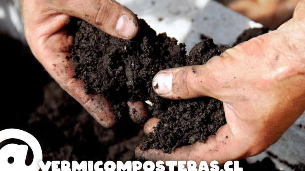 12 consejos para un excelente humus de vermicompostera